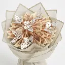 image1_white_background_v2.webp